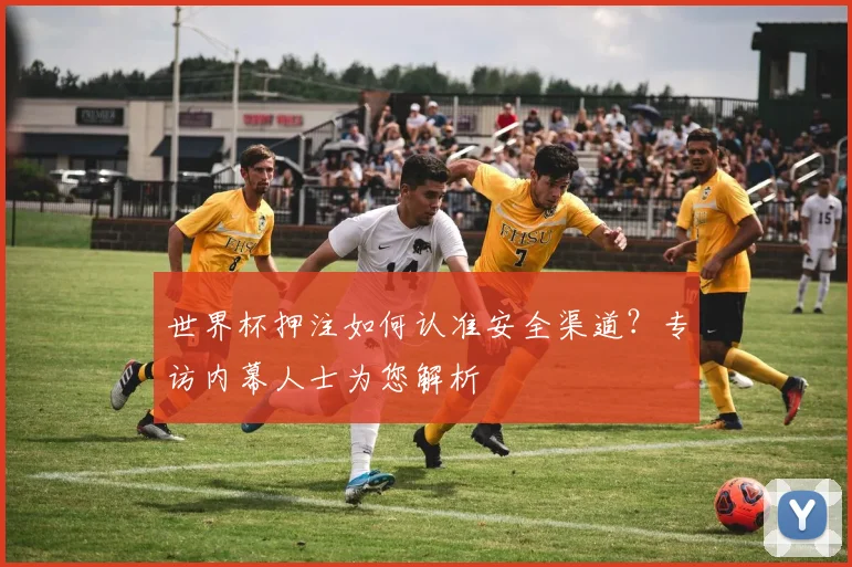 世界杯押注如何认准安全渠道？专访内幕人士为您解析