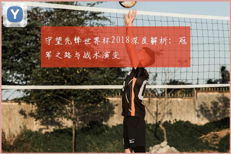 守望先锋世界杯2018深度解析：冠军之路与战术演变