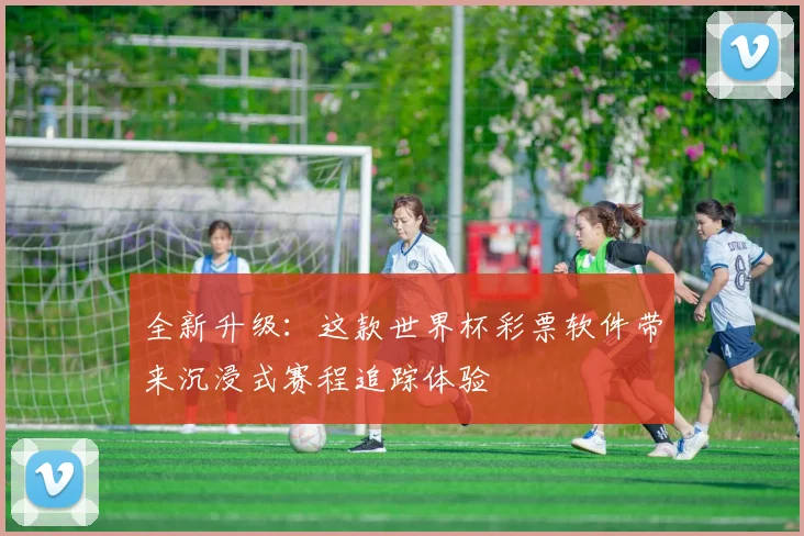 全新升级：这款世界杯彩票软件带来沉浸式赛程追踪体验