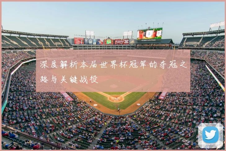 深度解析本届世界杯冠军的夺冠之路与关键战役