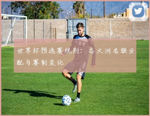 世界杯预选赛规则：各大洲名额分配与赛制变化